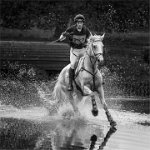 318 - AT FULL STRIDE - O'NEILL NORMAN - united kingdom